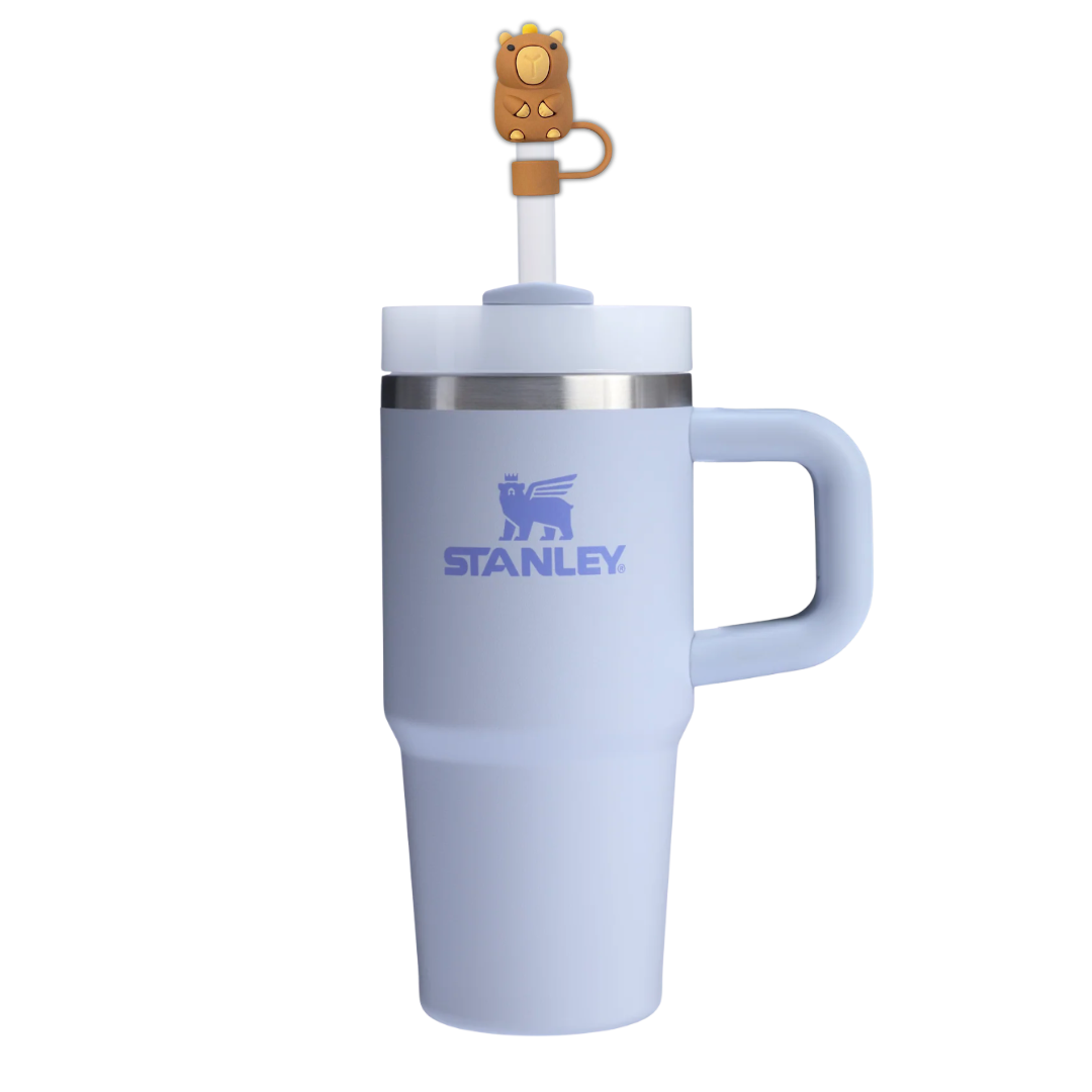 Custom 14 oz.  Stanley Tumbler