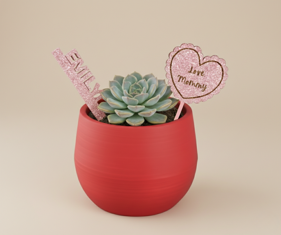 Custom Valentine's Day Plant