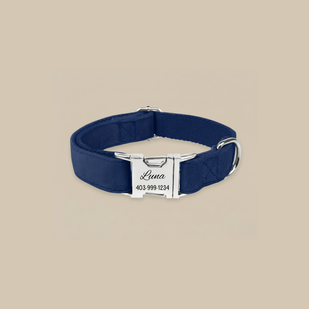 Custom Engraved Dog Collar