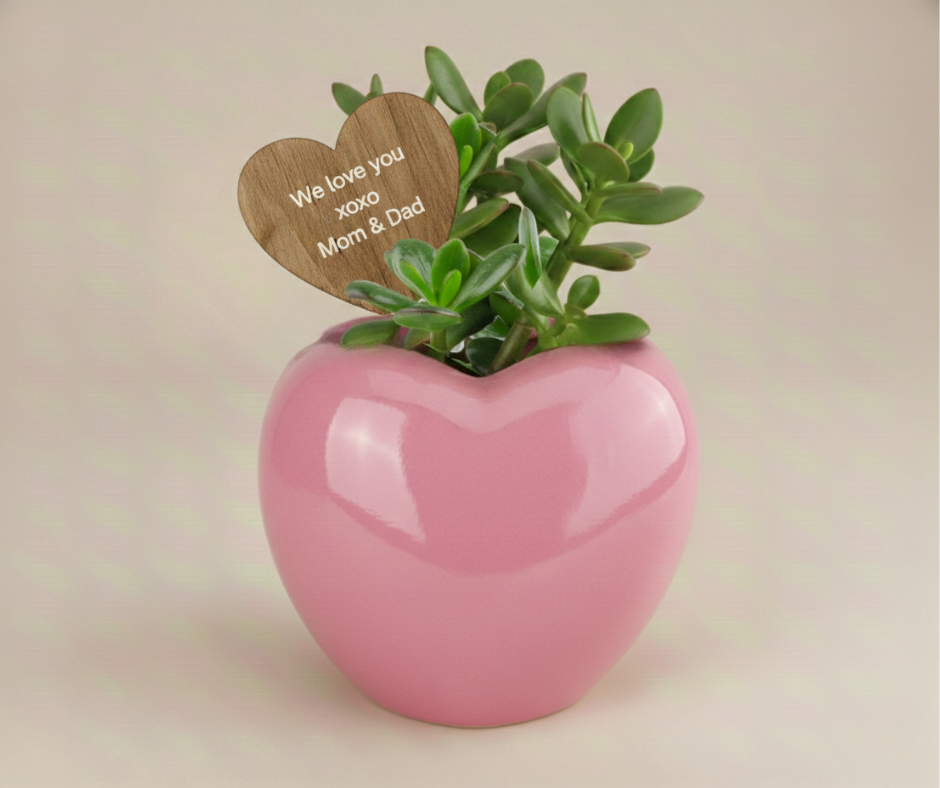 Custom Valentine's Day Plant