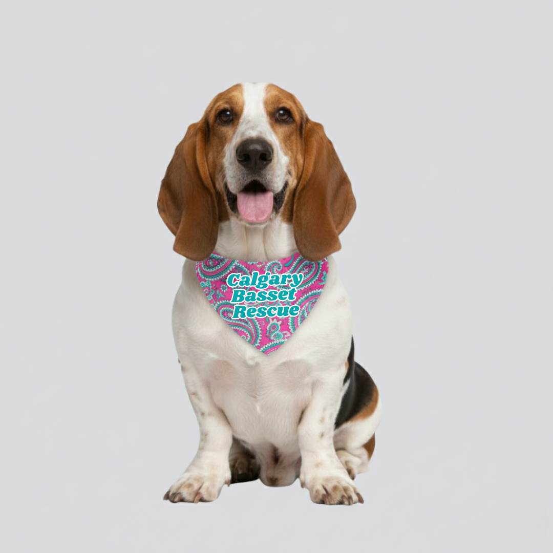 Custom Dog Bandana (Glow-in-the-Dark)