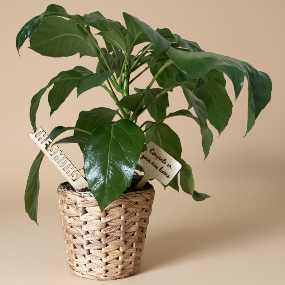 Custom Gratitude Plant