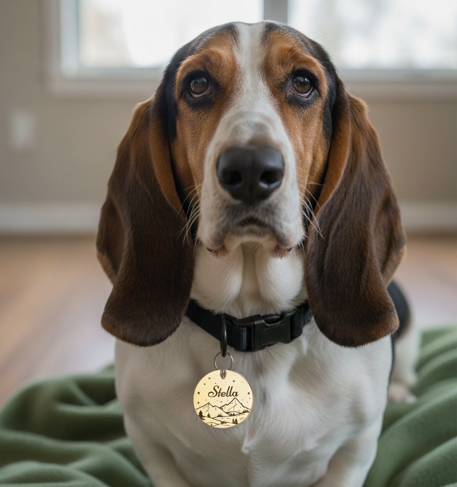 Custom Engraved Pet ID Tag