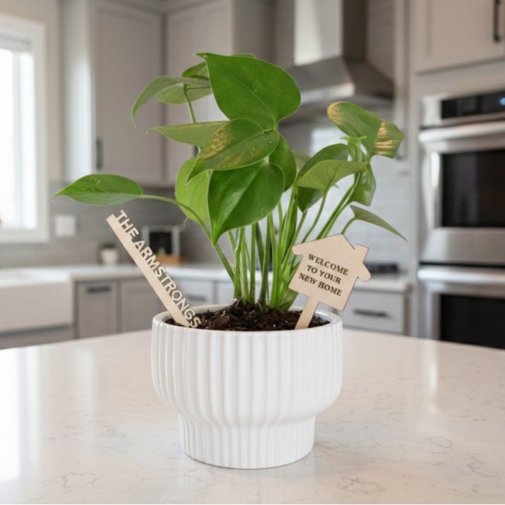 Custom Plants (min. 5 per order)