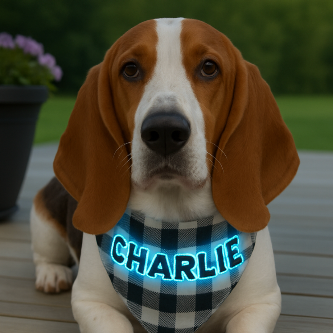 Custom Dog Bandana (Glow-in-the-Dark)