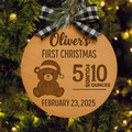 Custom Ornament - Baby's First Christmas